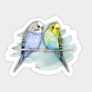 Two cute budgies watercolor Sticker